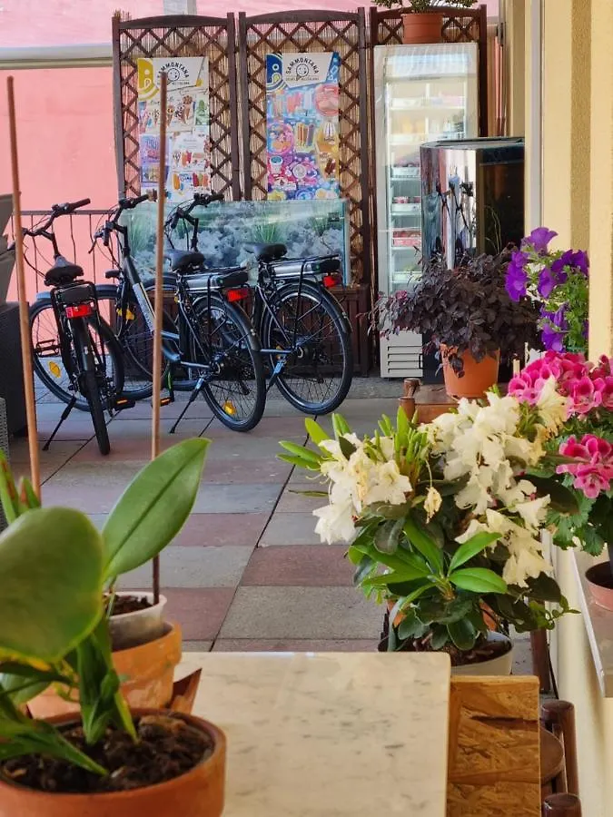 Hotel Albergo Stella Di Mare Lavagna