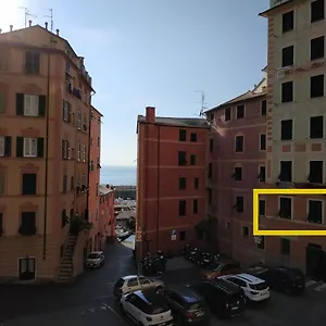 La Gioia Камольи